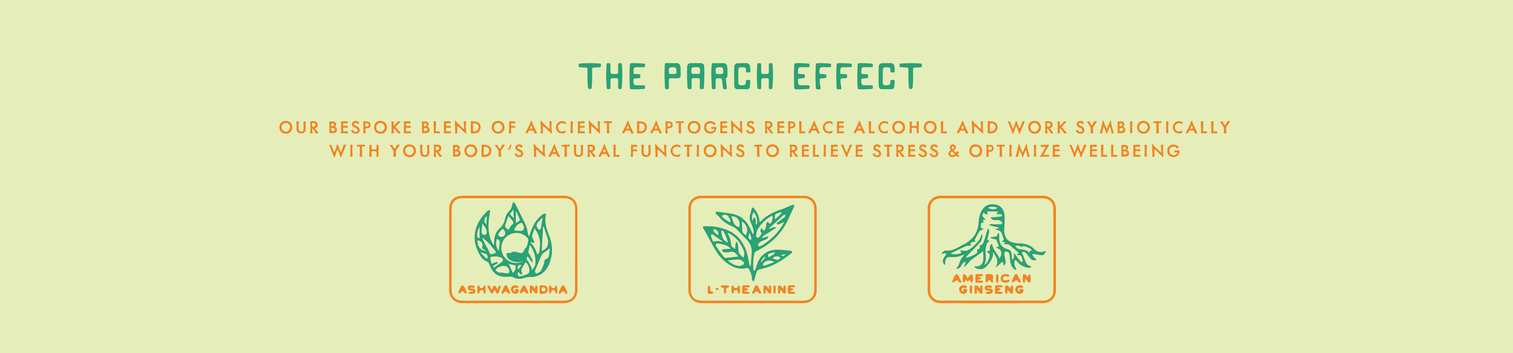 The Parch Effect - Desert Margarita - Desktop