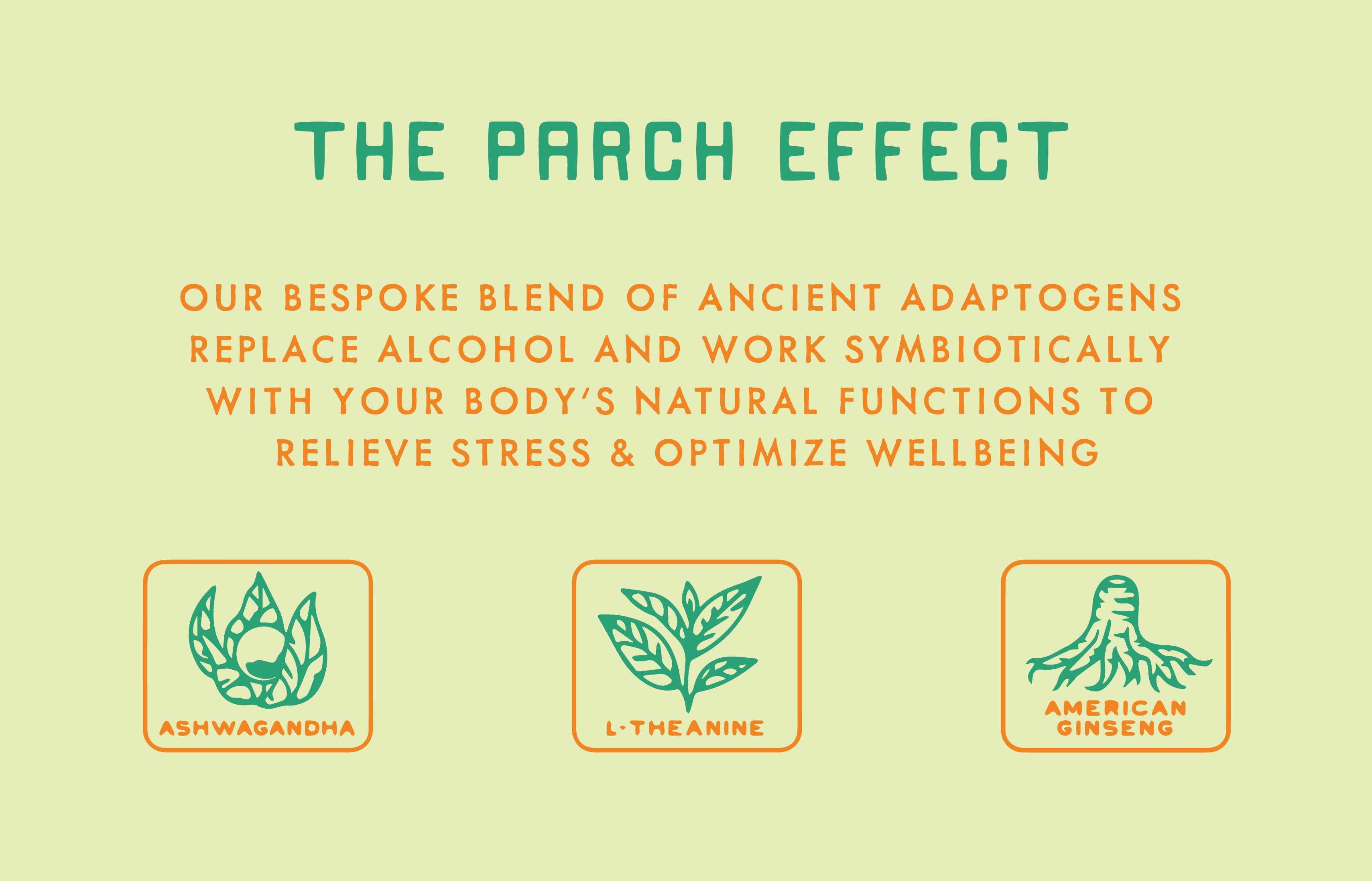 The Parch Effect - Desert Margarita - Desktop