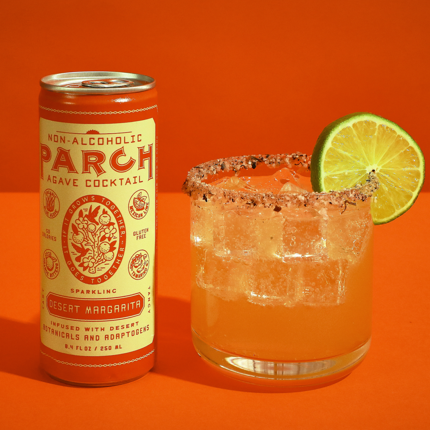 Glass filled with Desert Margarita - Shop Desert Margarita