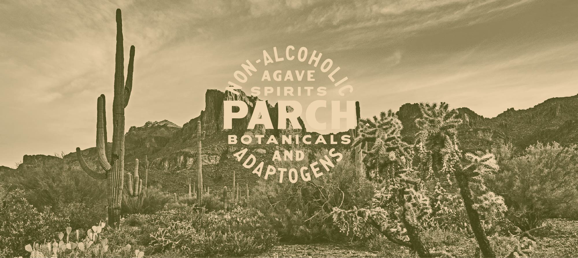 About Parch Cocktails non alcoholic Drink