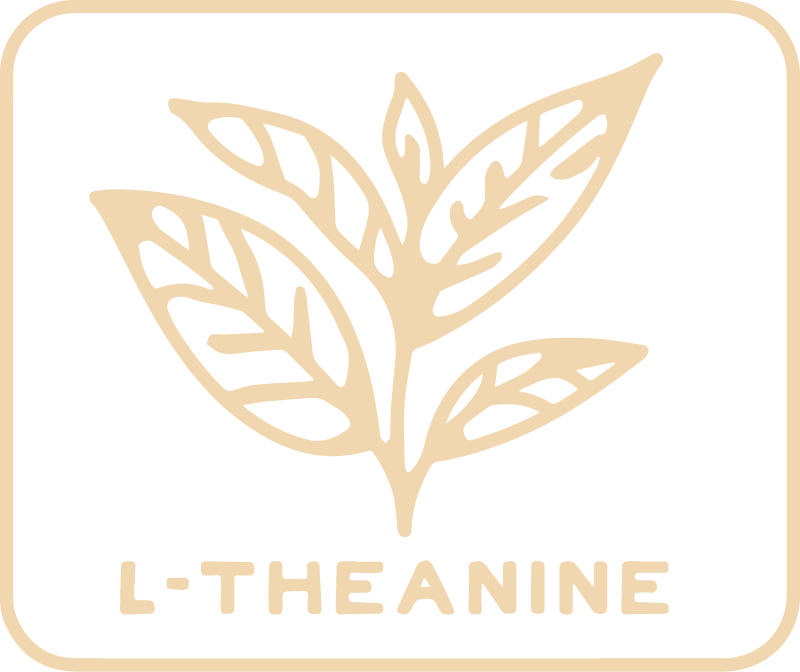 parch effect l-theanine