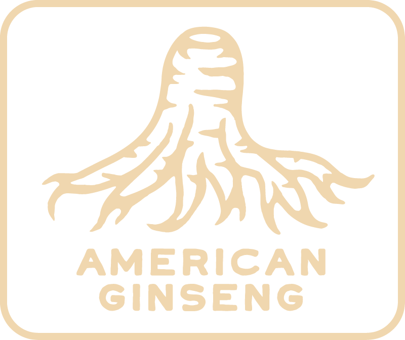 parch effect american ginseng